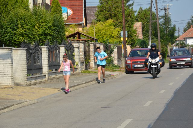 Falunap 2017